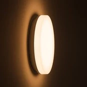 DOTLUX LED lubinis šviestuvas SURFACE, Ø 30 cm, baltas, PC, CCT, IP54