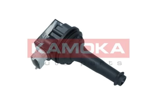 Ritė, uždegimas KAMOKA 7120044