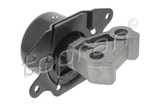 Variklio montavimas TOPRAN 207 561