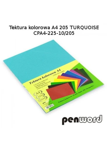 Kartonas A4/ 10l 225g PenWord šv.mėlynas