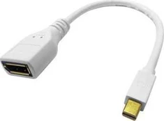 Roline ROLINE DisplayPort adapteris, DP moteriškas - Mini DP vyriškas