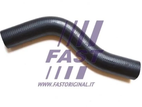 Radiatoriaus žarna FAST FT61043