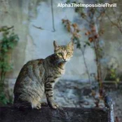 CD Alpha - The Impossible Thrill
