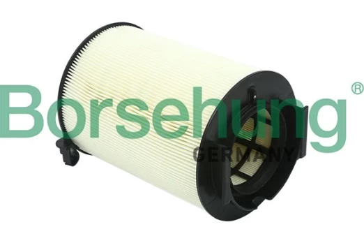 Oro filtras Borsehung B12812