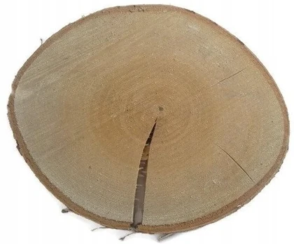 Beržo medienos riekės, mediniai diskai 15-20cm