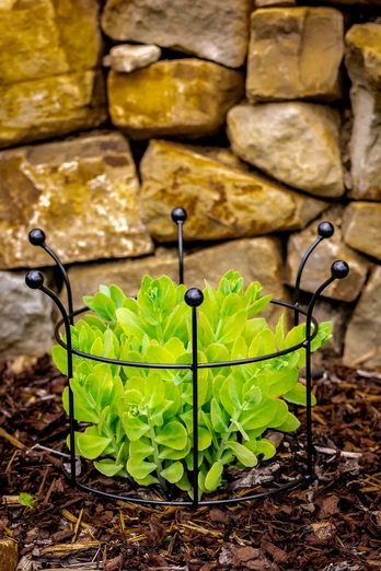 Sodo augalų atrama "Venta" 40cm (juoda)