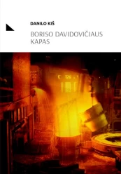 Boriso Davidovičiaus kapas kaina