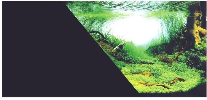 Zolux Dvipusis akvariumo fonas „Amazonka“ juodas