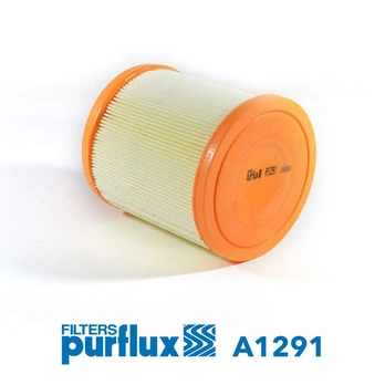 Oro filtras PURFLUX A1291