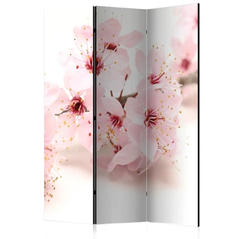 Artgeist Pertvara - Cherry Blossom [Room Dividers]