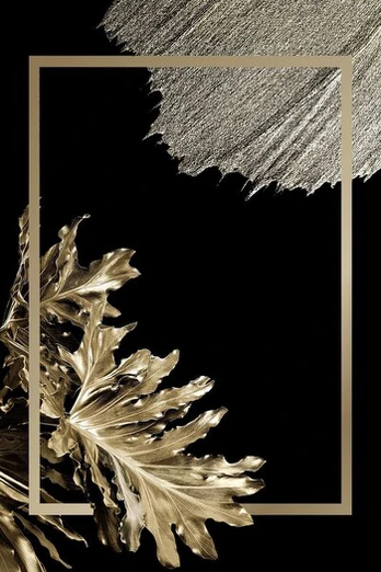 Kilimas HMNT886 80x150 cm