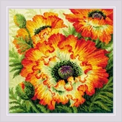 Fire Poppies. Siuvinėjimo rinkinys iš RIOLIS Nr.: 2080