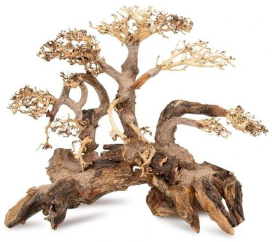 Norimpex Skęstantis bonsai medelis Nr. 59 80x50