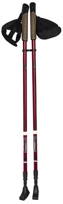 Šiaurietiško ėjimo lazdos NILS Nordic, 860 - 1400 mm kaina