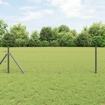 Heksoidinė Tvoras Pilka 1x50 m Plienas