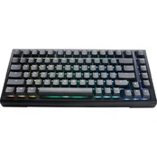 Ducky Tinker 75 Gaming Keyboard, RGB, black - MX-Red (ANSI) kaina