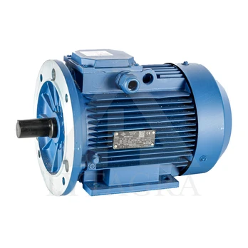 Elektros variklis 5,5 kW (420)