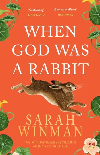 When God was a Rabbit, From the bestselling author of STILL LIFE