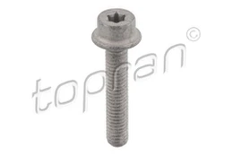 TOPRAN 411 097 Varžtas