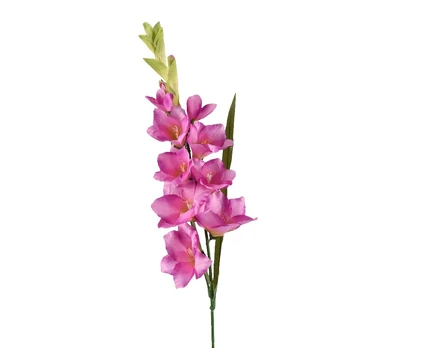 Dirbtinė gėlė kardelis, rožinė, 98 cm