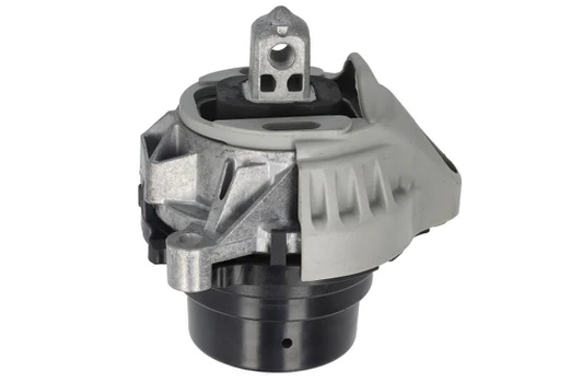 Variklio montavimas TEDGUM TED87717