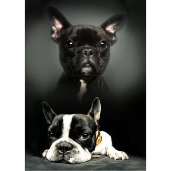 Pledas Dog, 100x140 cm