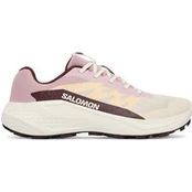 Bėgimo batai Salomon Alphaglide W L49092800 Kreminė