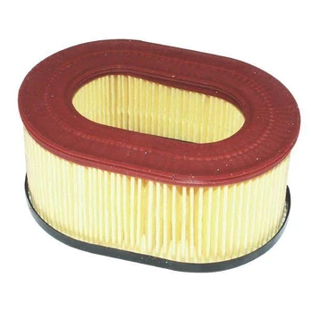 Oro filtras