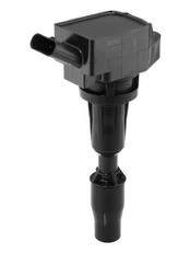 Ritė, uždegimas BorgWarner (BERU) ZSE300