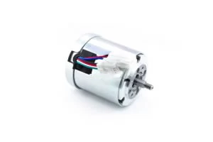 DC variklis WG790E.1, WG791E.1, WG796E.1, Worx