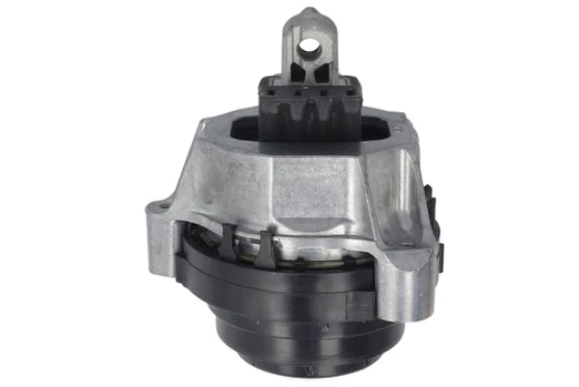Variklio montavimas TEDGUM TED72231