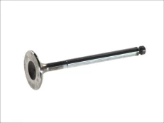 FRECCIA 4686/SCR Inlet valve kaina