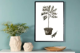 Paveikslas - Olive - 70x100 kaina