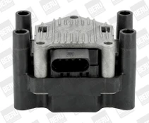 Ritė, uždegimas BorgWarner (BERU) ZSE003