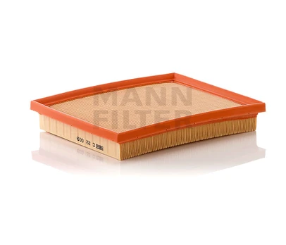Oro filtras C22009