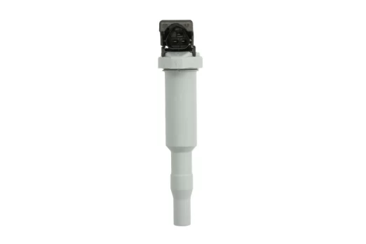Ritė, uždegimas BOSCH 0221504800