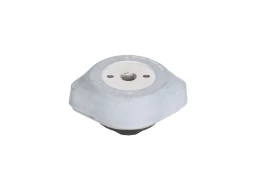 MEYLE 100 399 0025 Gearbox mounting kaina