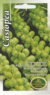 Briuselio Kopūstai Casiopea