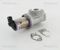 ERG vožtuvas TRISCAN 8813 43021