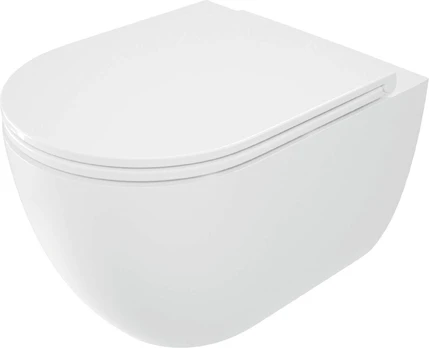 Rimless toilet