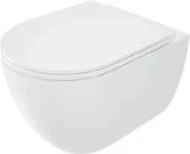 Rimless toilet kaina