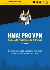 HMA! Pro VPN kaina