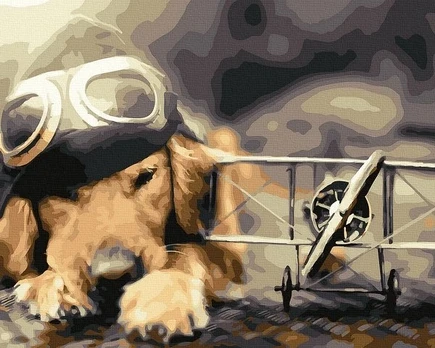 SuperColor Tapyba Pagal Skaičius: „Šuniukas aviatorius“ 40x50 cm