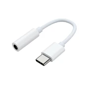 Alook adapteris Samsung USB-C prie 3,5 mm lizdo, baltas kaina
