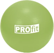 Gimnastikos kamuolys PROFIT 75cm su pompa DK 2102 kaina
