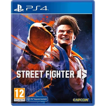 Street Capcom Gatvės kovotojas 6