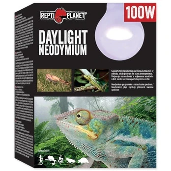 Terariumų lemputė Repti Planet Daylight Neodymium, 100 W, 1 vnt.