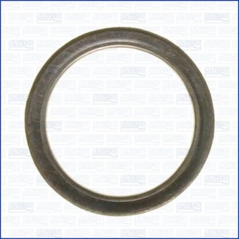 Tarpiklis, išleidimo kolektorius AJUSA 00155600