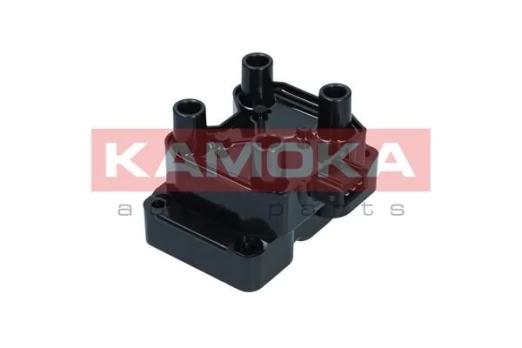 Ritė, uždegimas KAMOKA 7120046