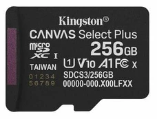 KINGSTANT 256GB micSDXC Canvas Select | SDCS3/256GBSP